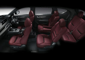 e_6-seat_int_whole_space_burgundy_leather_l-scaled.jpg